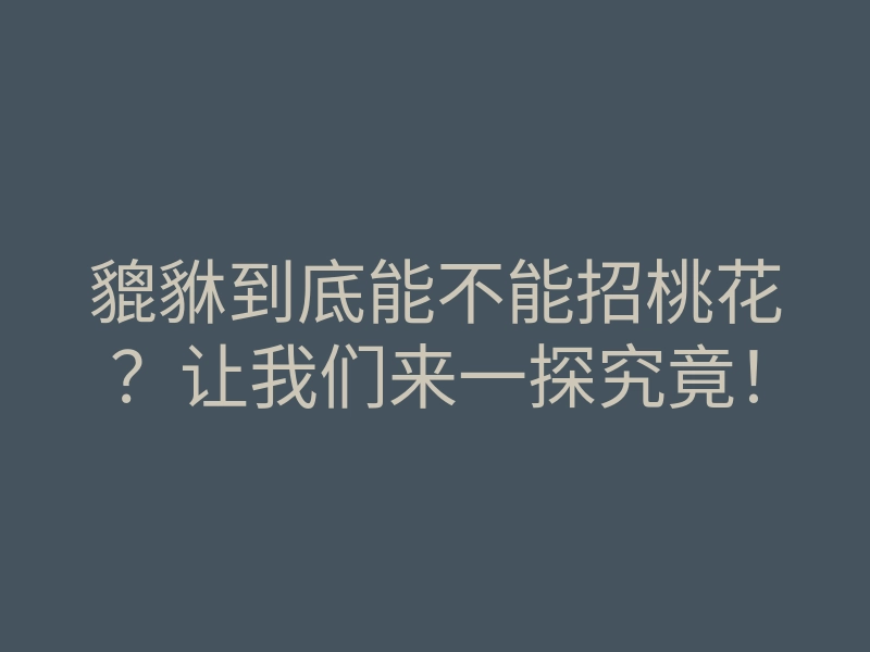 貔貅到底能不能招桃花?让我们来一探究竟!
