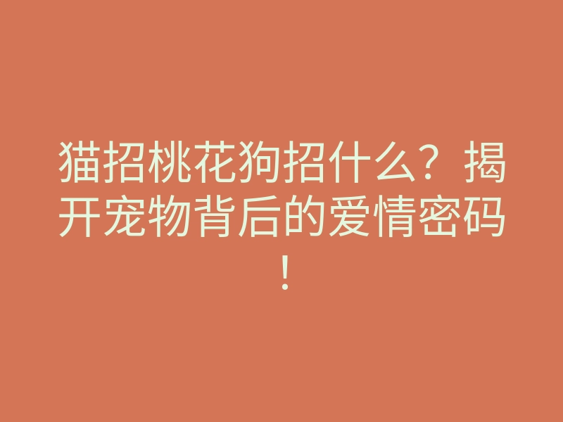 猫招桃花狗招什么?揭开宠物背后的爱情密码!