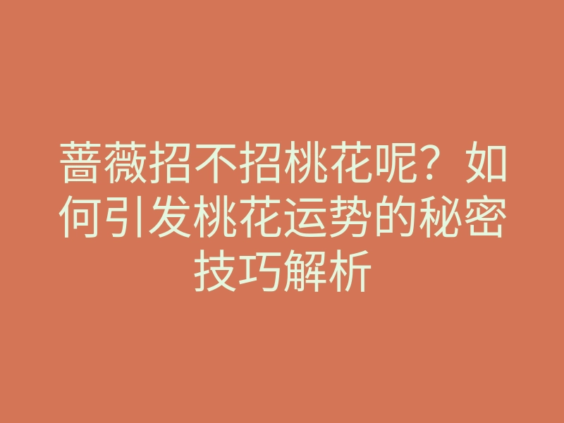 蔷薇招不招桃花呢?如何引发桃花运势的秘密技巧解析