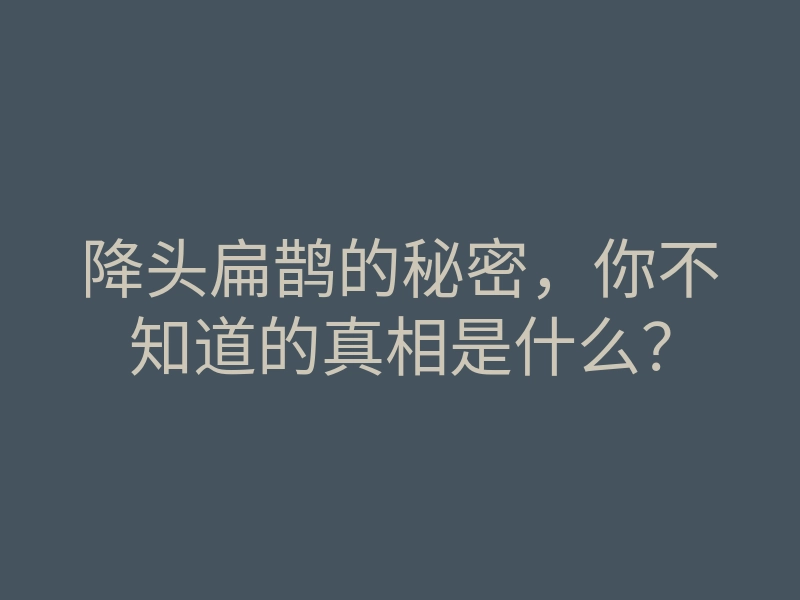 降头扁鹊的秘密,你不知道的真相是什么?