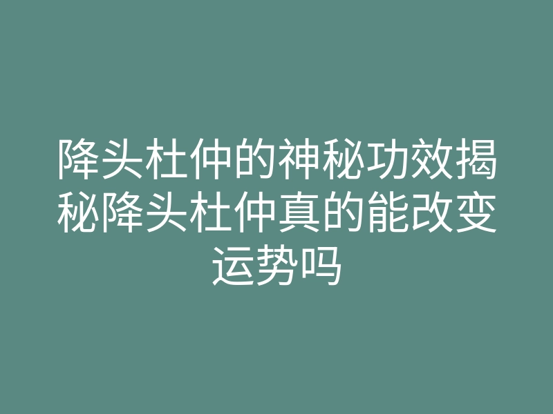 降头杜仲的神秘功效揭秘降头杜仲真的能改变运势吗