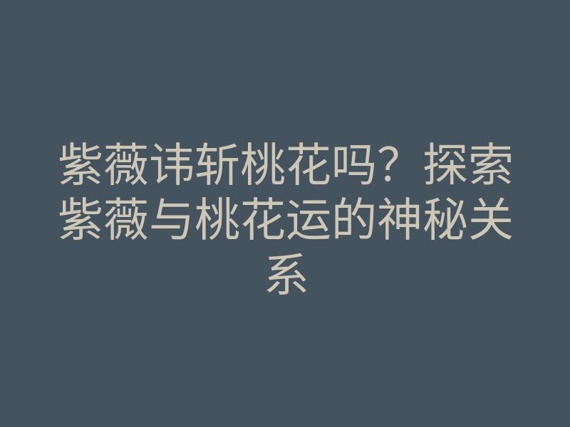 紫薇讳斩桃花吗?探索紫薇与桃花运的神秘关系