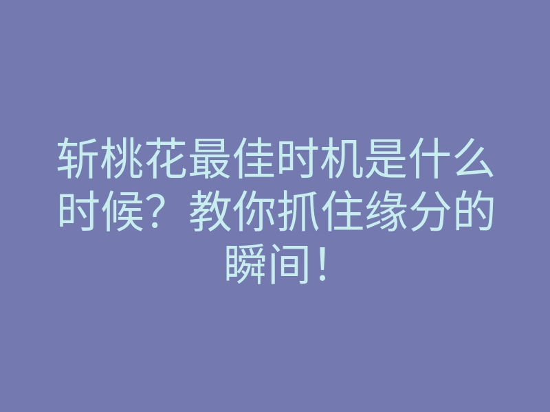 斩桃花最佳时机是什么时候?教你抓住缘分的瞬间!