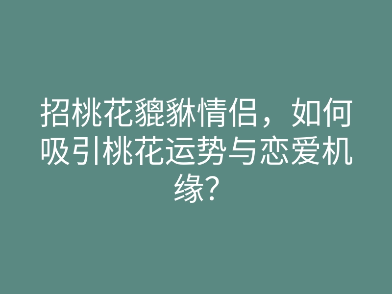 招桃花貔貅情侣,如何吸引桃花运势与恋爱机缘?