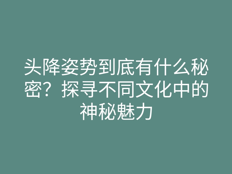 头降姿势到底有什么秘密?探寻不同文化中的神秘魅力