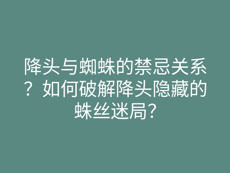 降头与蜘蛛的禁忌关系?如何破解降头隐藏的蛛丝迷局?