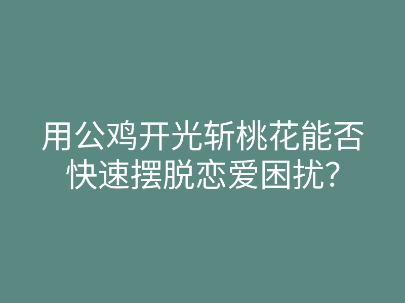 用公鸡开光斩桃花能否快速摆脱恋爱困扰?