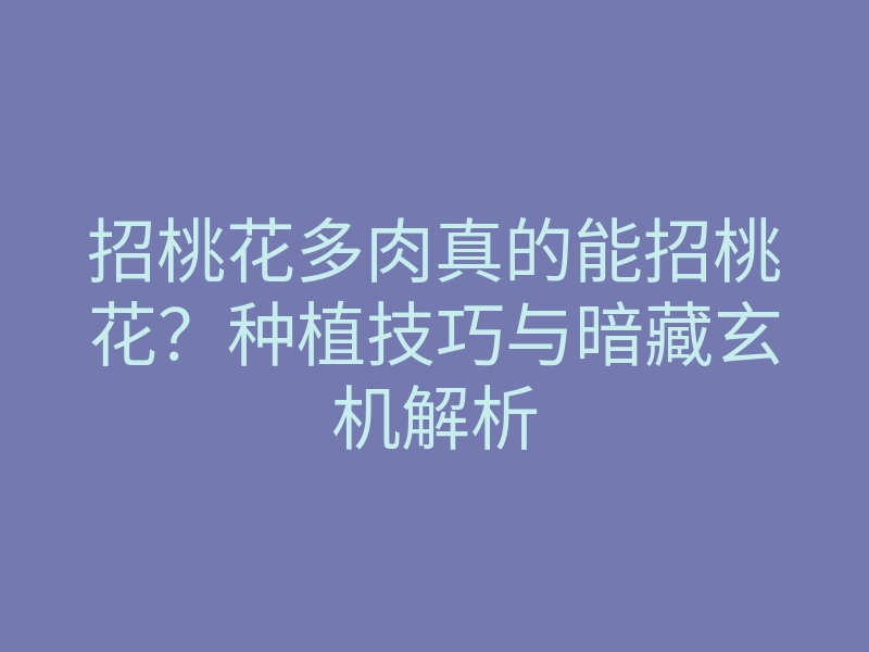 招桃花多肉真的能招桃花?种植技巧与暗藏玄机解析