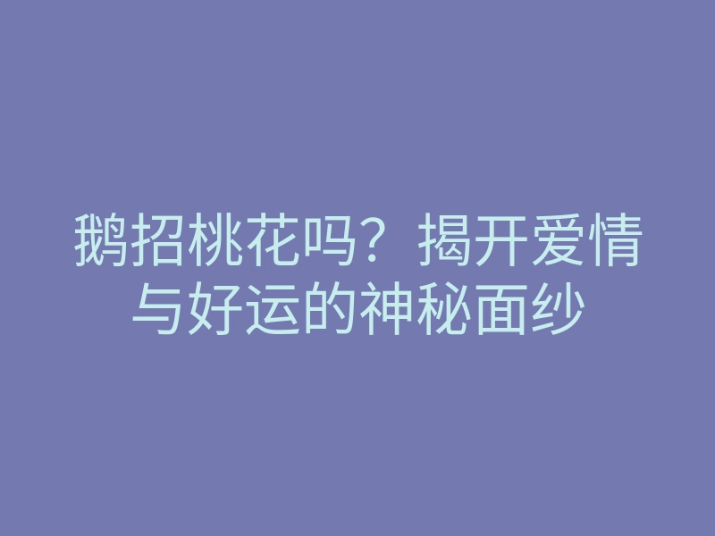 鹅招桃花吗?揭开爱情与好运的神秘面纱