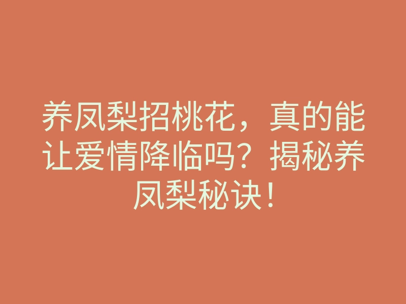 养凤梨招桃花,真的能让爱情降临吗?揭秘养凤梨秘诀!