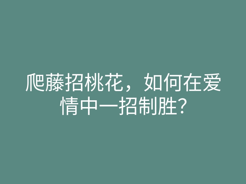 爬藤招桃花,如何在爱情中一招制胜?