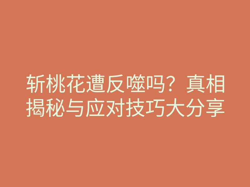 斩桃花遭反噬吗?真相揭秘与应对技巧大分享