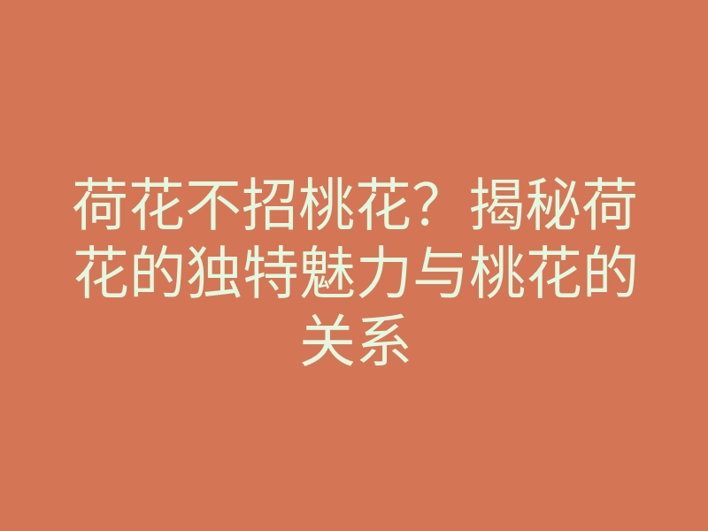 荷花不招桃花?揭秘荷花的独特魅力与桃花的关系