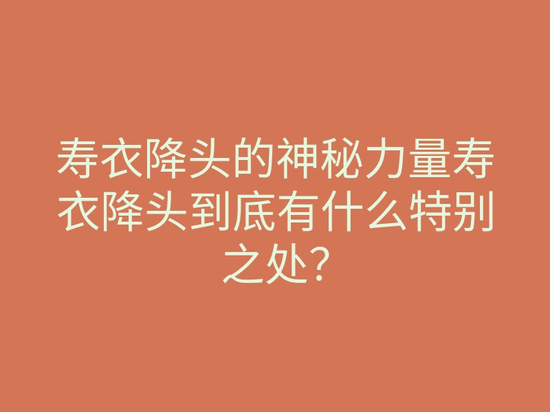 寿衣降头的神秘力量寿衣降头到底有什么特别之处？