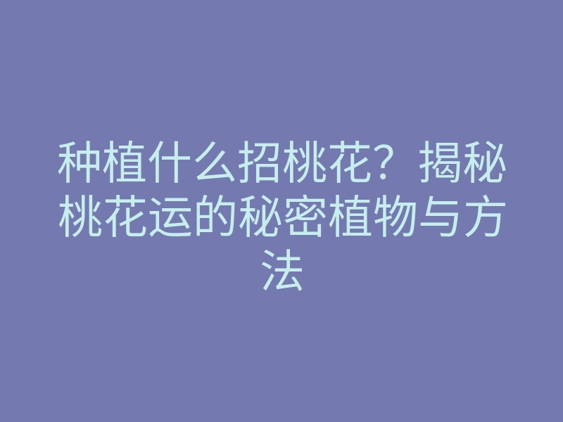 种植什么招桃花?揭秘桃花运的秘密植物与方法
