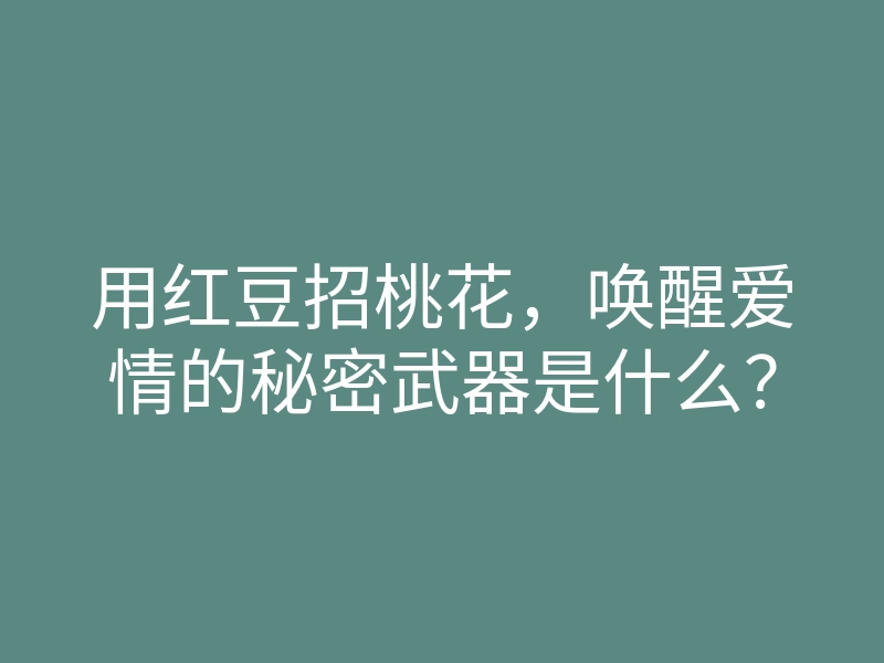 用红豆招桃花,唤醒爱情的秘密武器是什么?