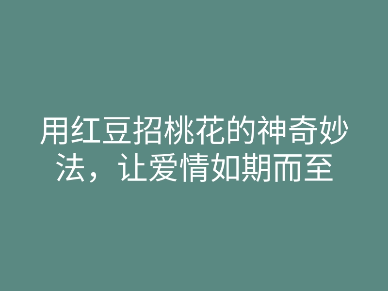 用红豆招桃花的神奇妙法,让爱情如期而至