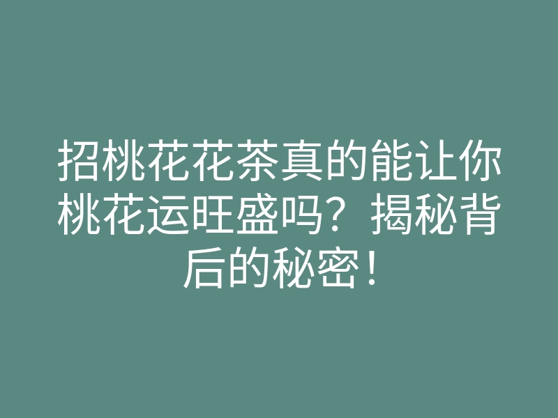 招桃花花茶真的能让你桃花运旺盛吗?揭秘背后的秘密!