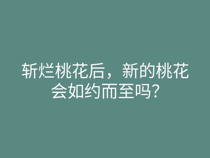 斩烂桃花后,新的桃花会如约而至吗?