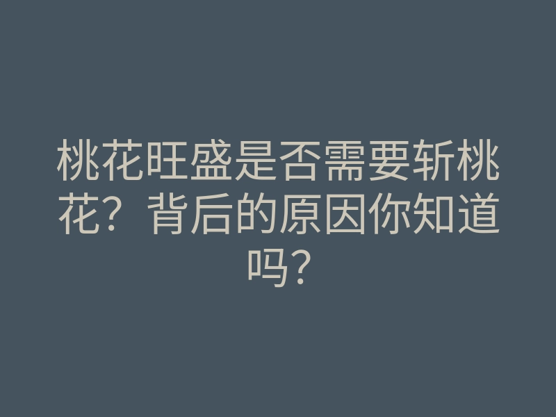 桃花旺盛是否需要斩桃花?背后的原因你知道吗?