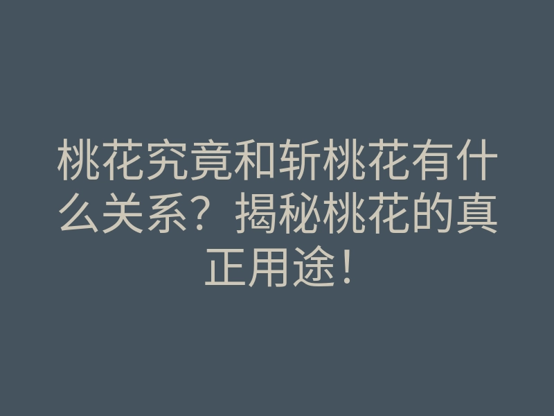 桃花究竟和斩桃花有什么关系?揭秘桃花的真正用途!