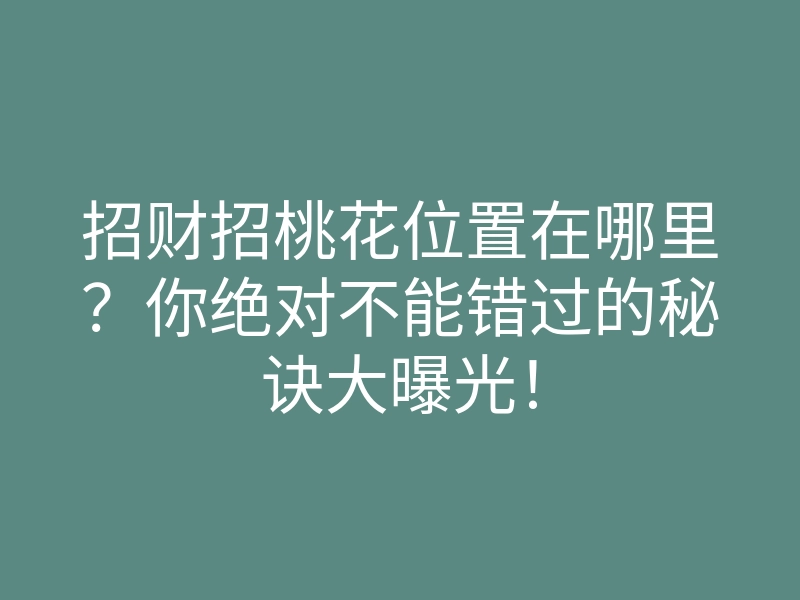招财招桃花位置在哪里?你绝对不能错过的秘诀大曝光!
