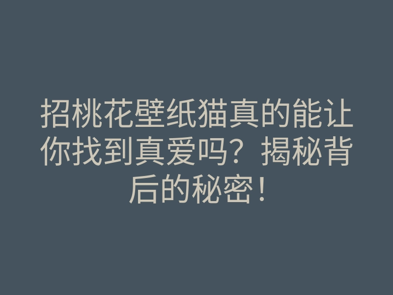 招桃花壁纸猫真的能让你找到真爱吗？揭秘背后的秘密！
