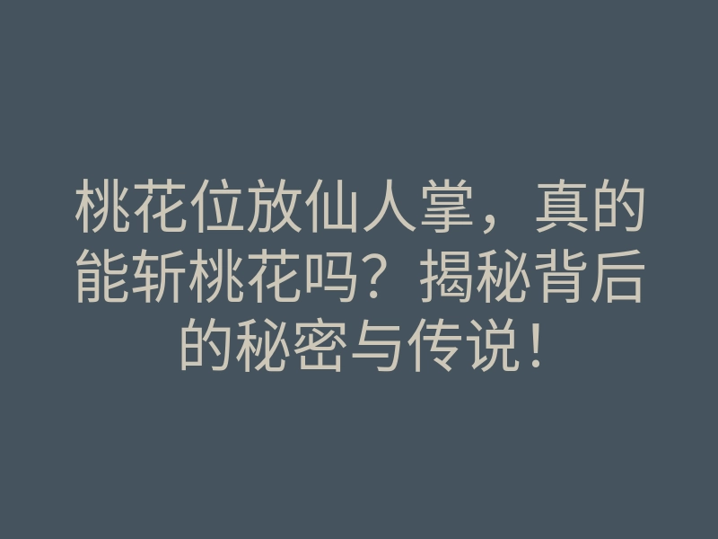 桃花位放仙人掌,真的能斩桃花吗?揭秘背后的秘密与传说!