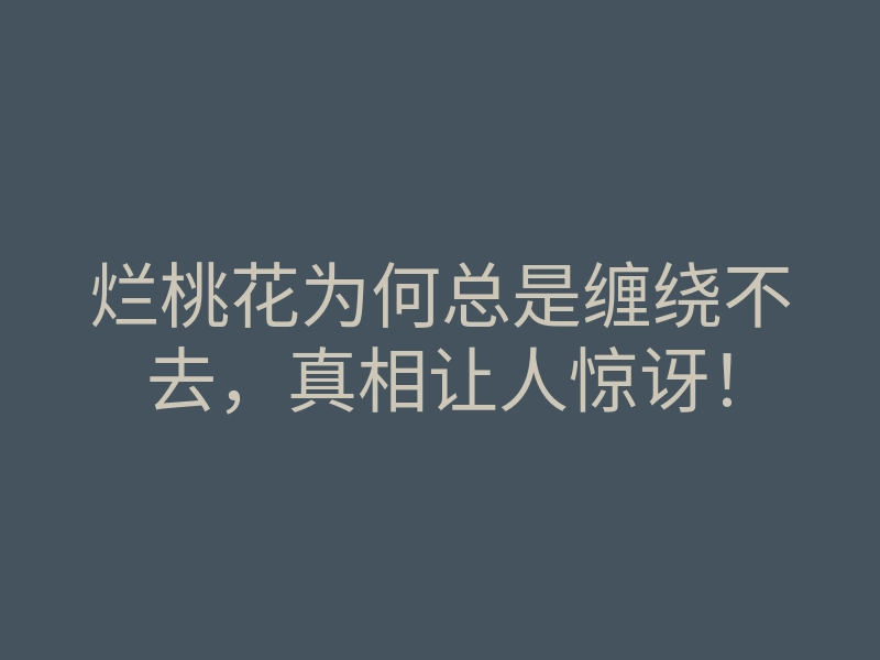 烂桃花为何总是缠绕不去，真相让人惊讶！