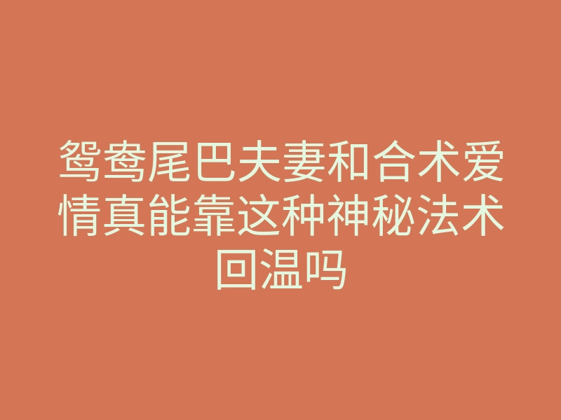 鸳鸯尾巴夫妻和合术爱情真能靠这种神秘法术回温吗