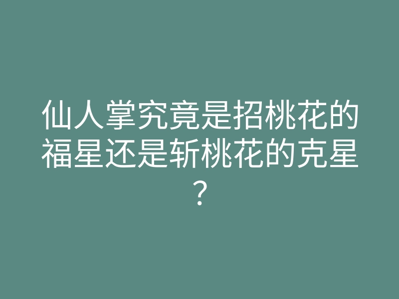 仙人掌究竟是招桃花的福星还是斩桃花的克星？