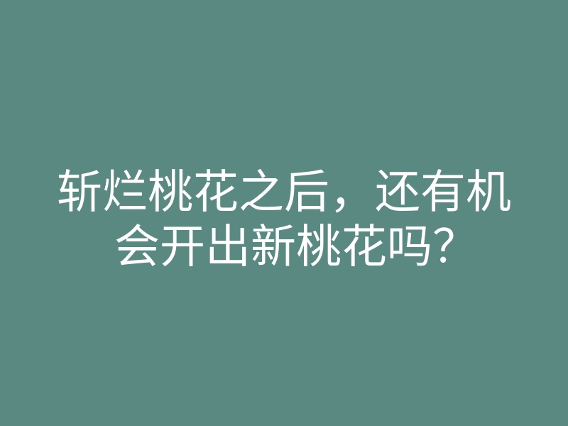 斩烂桃花之后,还有机会开出新桃花吗?