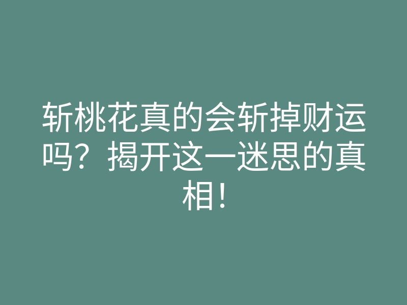 斩桃花真的会斩掉财运吗?揭开这一迷思的真相!