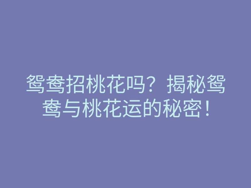 鸳鸯招桃花吗?揭秘鸳鸯与桃花运的秘密!