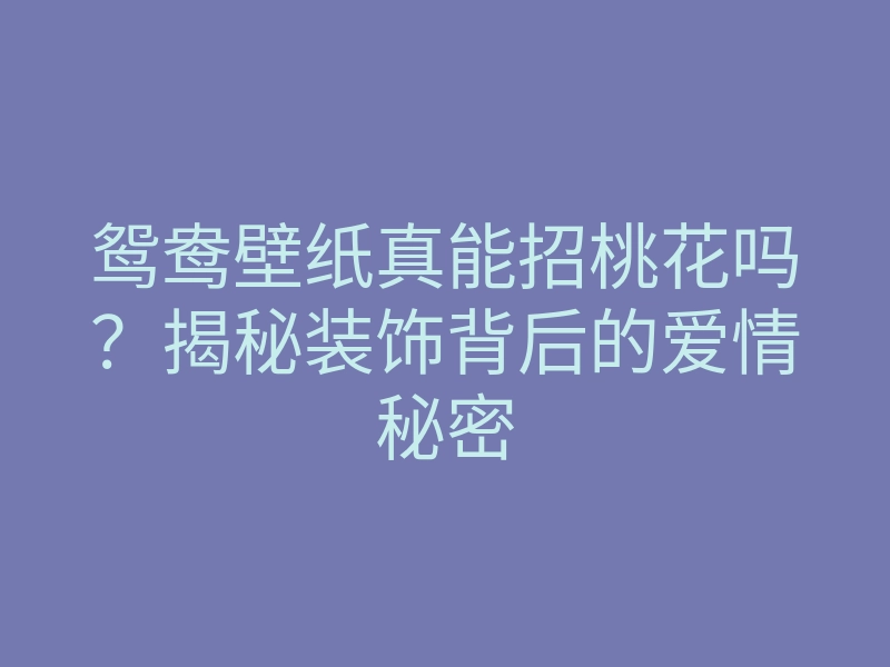 鸳鸯壁纸真能招桃花吗?揭秘装饰背后的爱情秘密