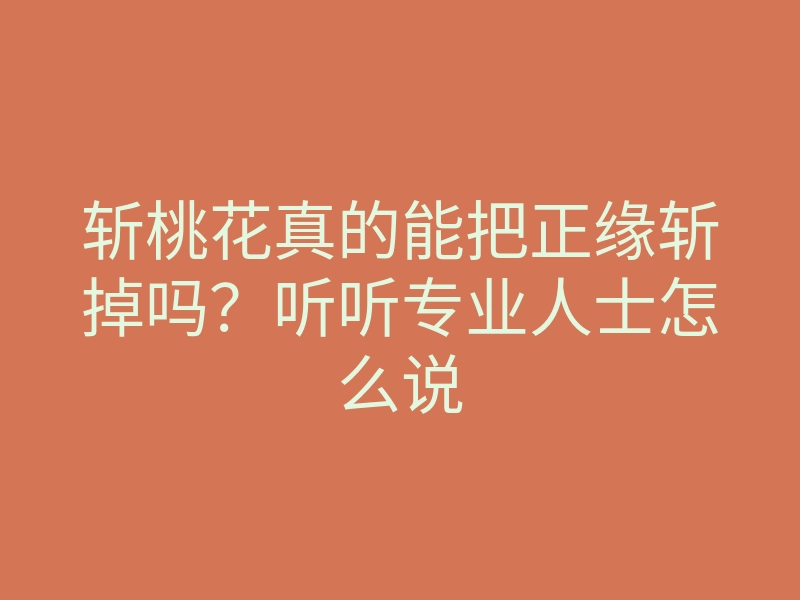 斩桃花真的能把正缘斩掉吗?听听专业人士怎么说