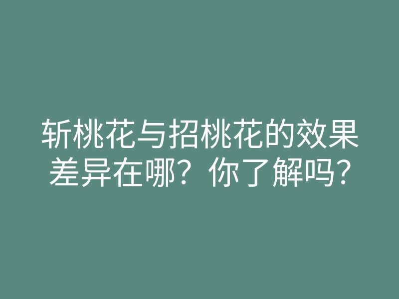 斩桃花与招桃花的效果差异在哪?你了解吗?
