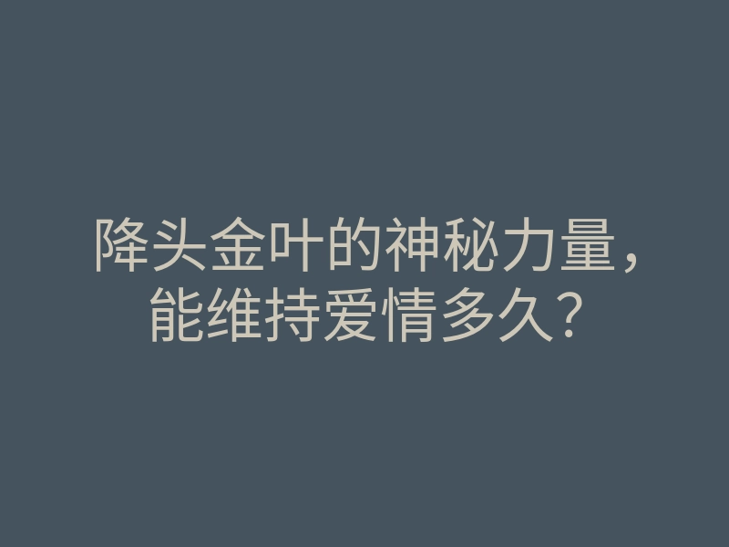 降头金叶的神秘力量,能维持爱情多久?