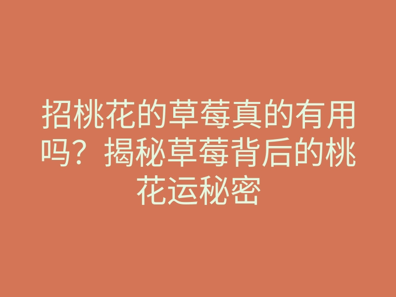 招桃花的草莓真的有用吗?揭秘草莓背后的桃花运秘密