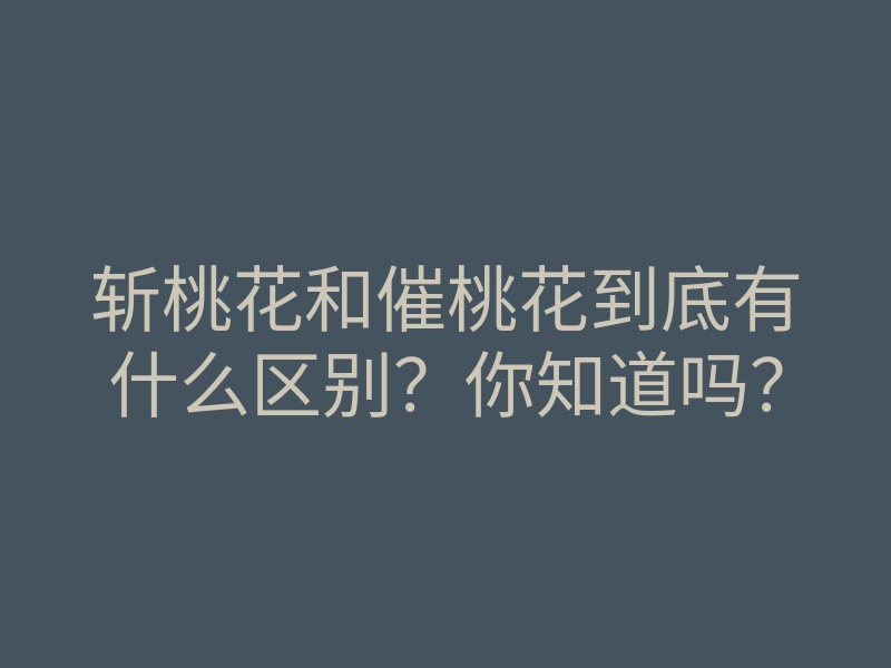 斩桃花和催桃花到底有什么区别?你知道吗?