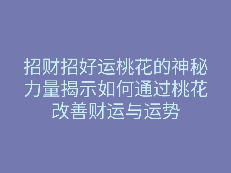 招财招好运桃花的神秘力量揭示如何通过桃花改善财运与运势