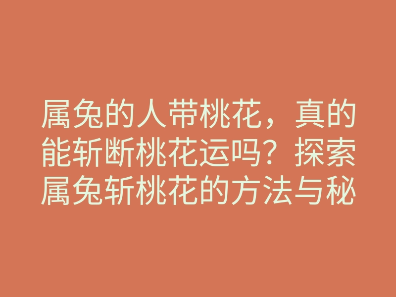 属兔的人带桃花,真的能斩断桃花运吗?探索属兔斩桃花的方法与秘诀