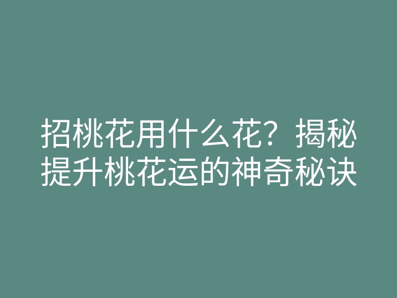 招桃花用什么花?揭秘提升桃花运的神奇秘诀