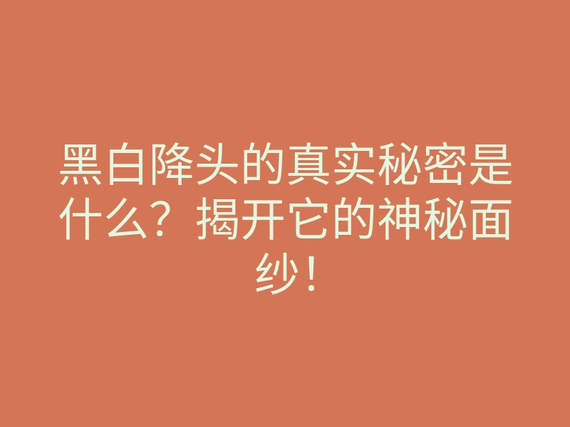 黑白降头的真实秘密是什么?揭开它的神秘面纱!