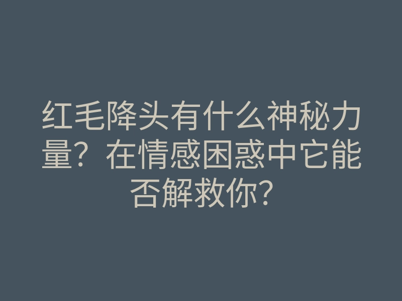 红毛降头有什么神秘力量？在情感困惑中它能否解救你？