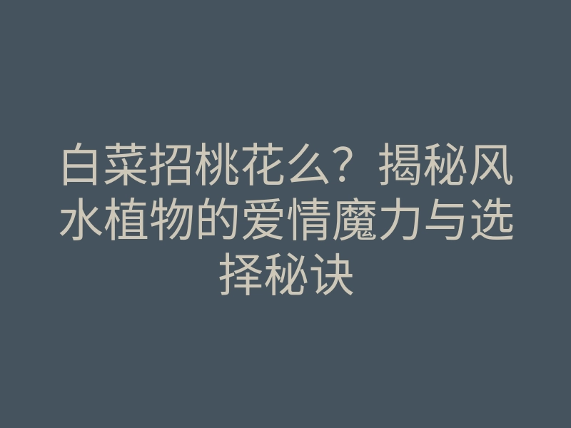 白菜招桃花么?揭秘风水植物的爱情魔力与选择秘诀