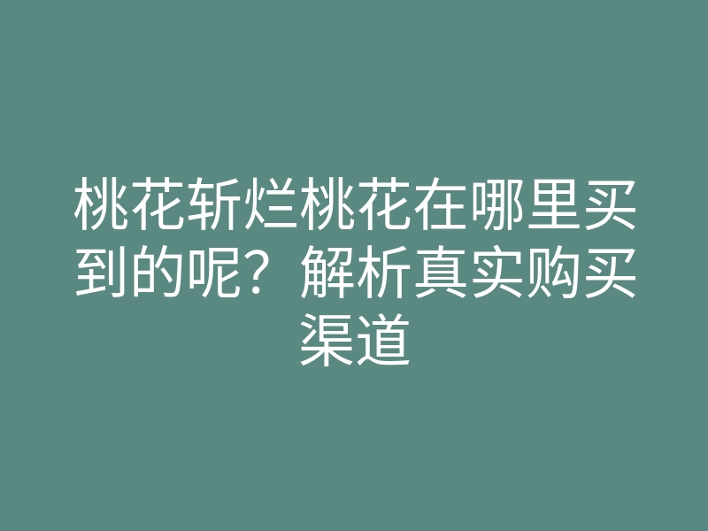 桃花斩烂桃花在哪里买到的呢?解析真实购买渠道