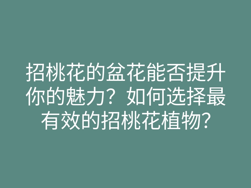 招桃花的盆花能否提升你的魅力?如何选择最有效的招桃花植物?