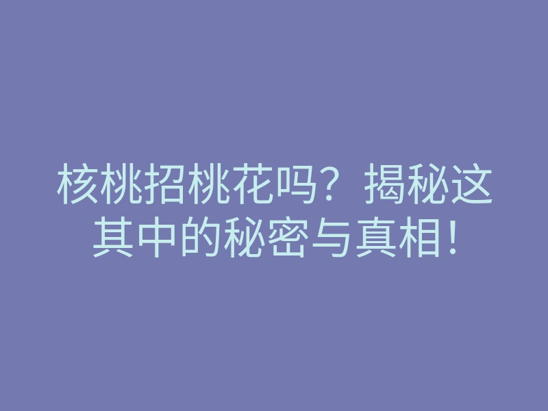 核桃招桃花吗?揭秘这其中的秘密与真相!