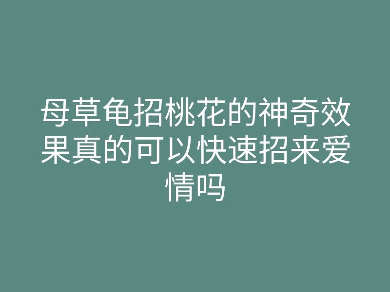 母草龟招桃花的神奇效果真的可以快速招来爱情吗